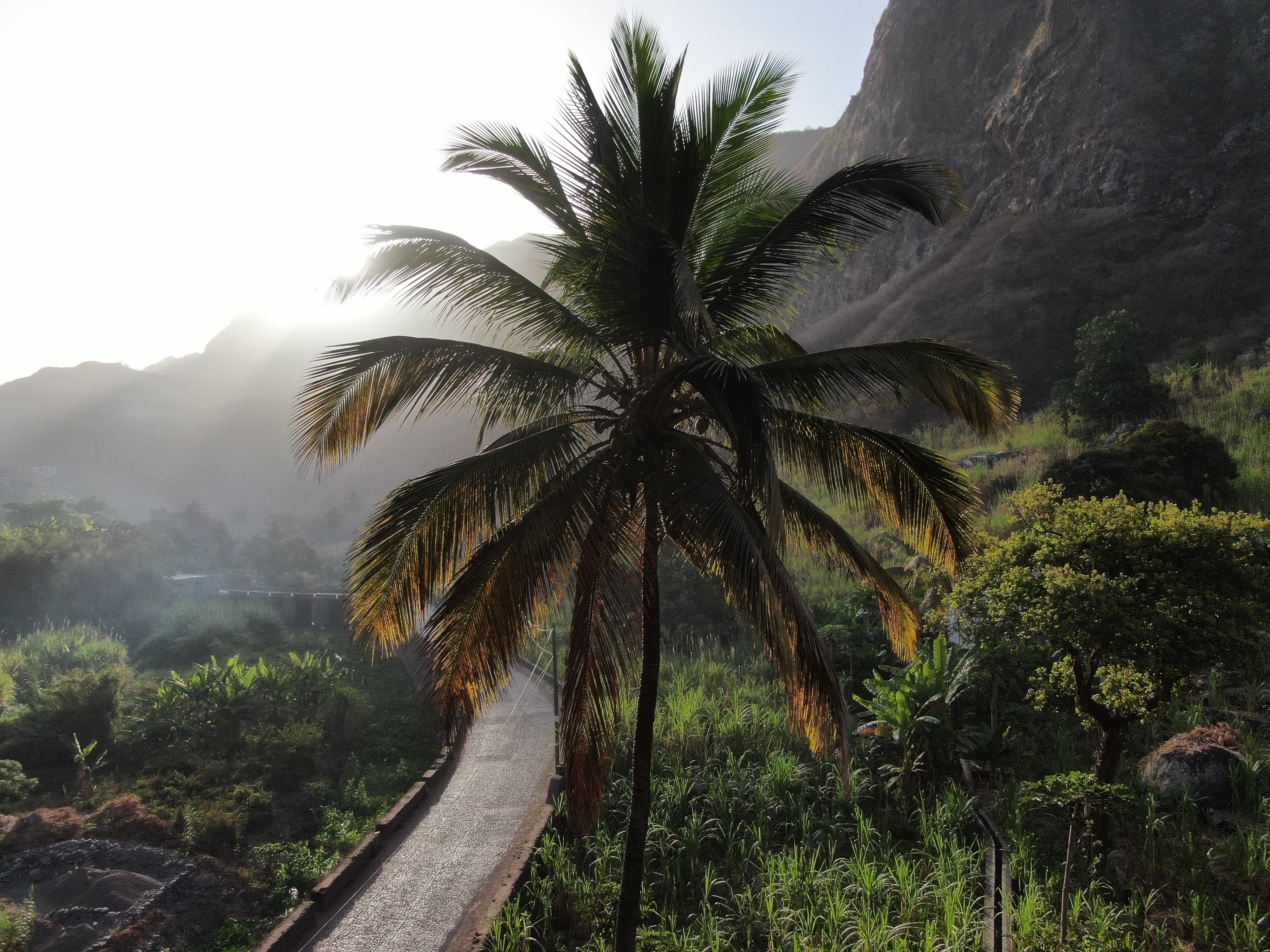 Débuts de la passion
